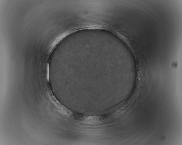 X0000115351171200911241146