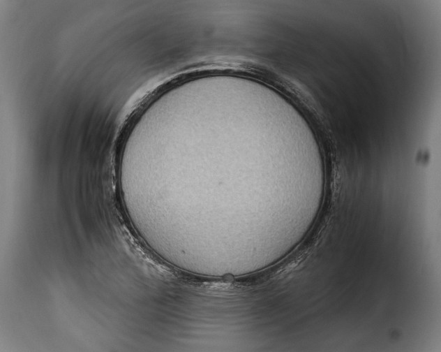 X0000115351172200911241146