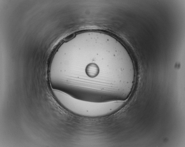 X0000115351173200911241146