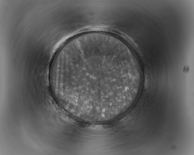 X0000115351174200911241146