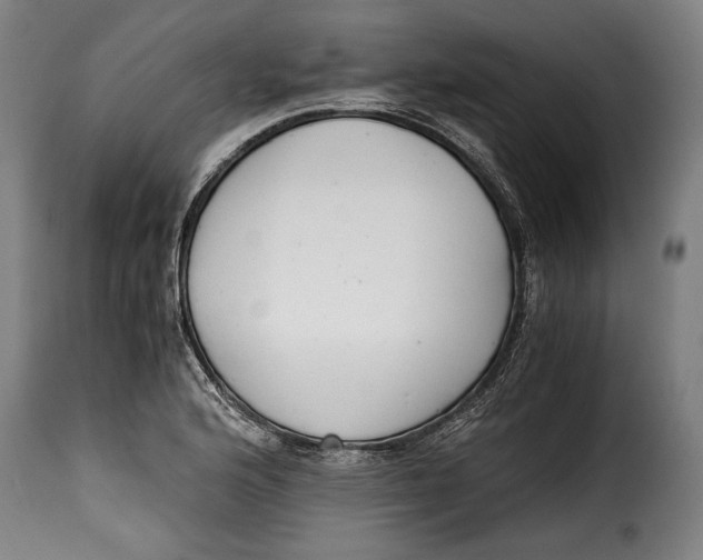 X0000115351176200911241146