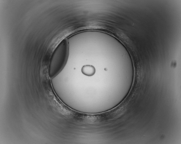 X0000115351177200911241146