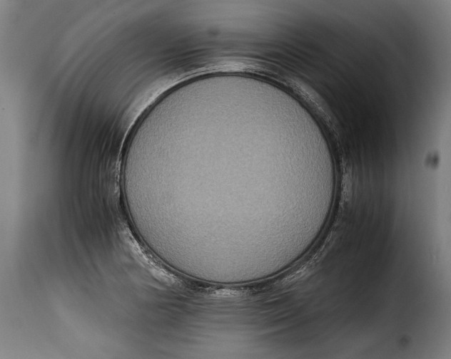 X0000115351178200911241146