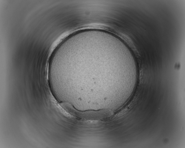 X0000115351180200911241146
