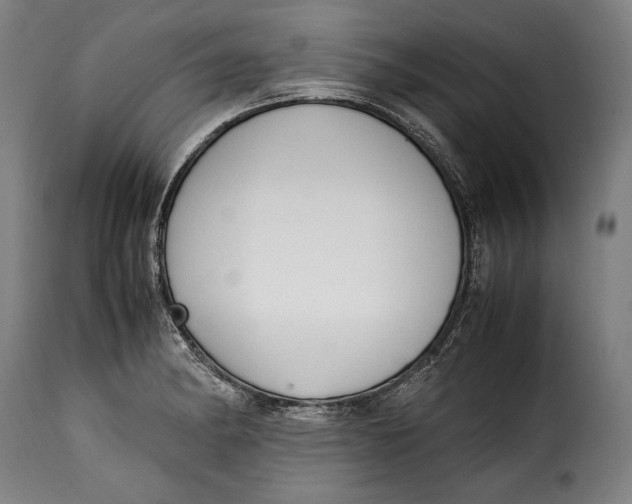 X0000115351182200911241146