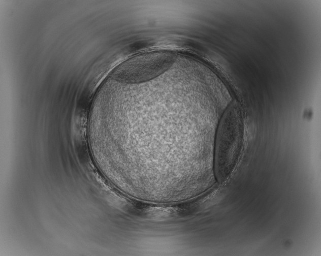 X0000115351185200911241145