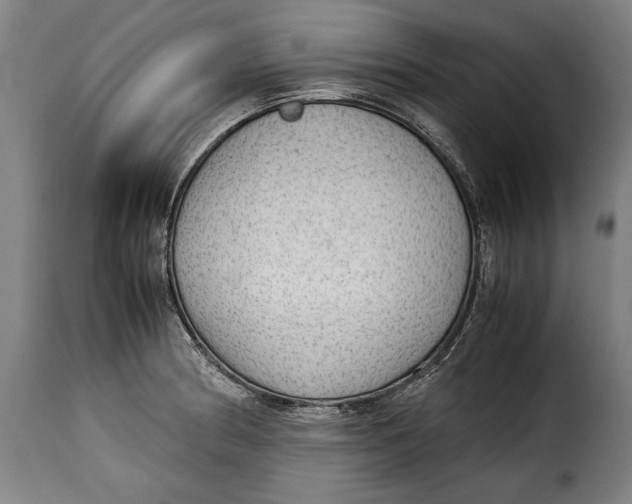 X0000115351186200911241145