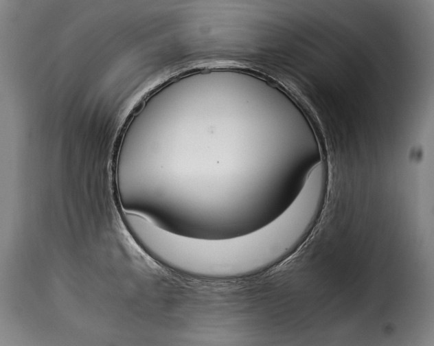 X0000115351189200911241145