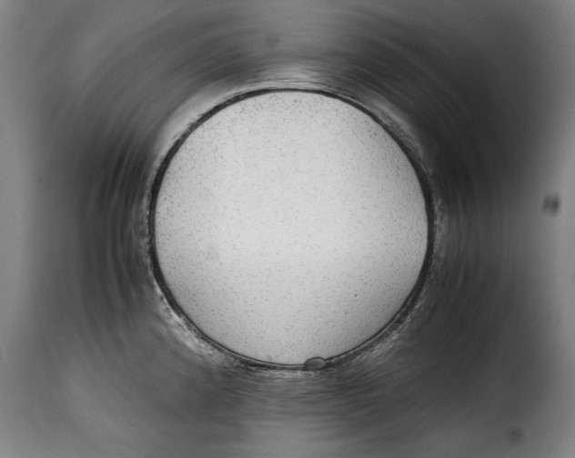 X0000115351192200911241145