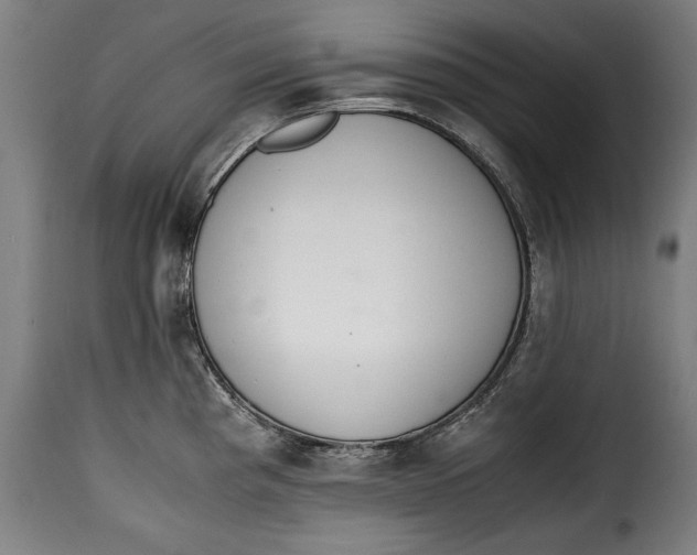 X0000115351193200911241145