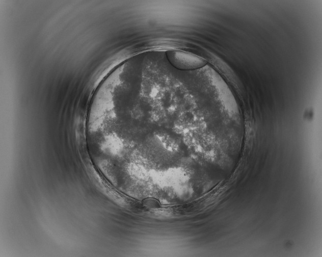 X0000115351194200911241145