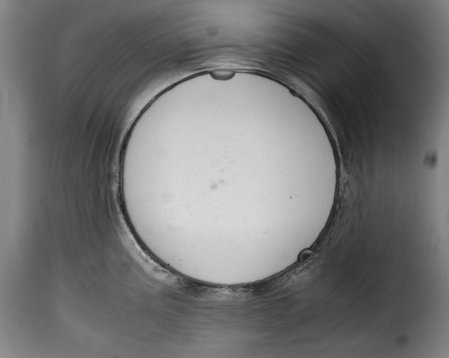 X0000115351195200911241145