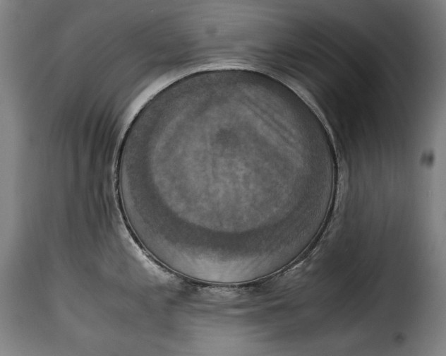 X0000115351197200911241145