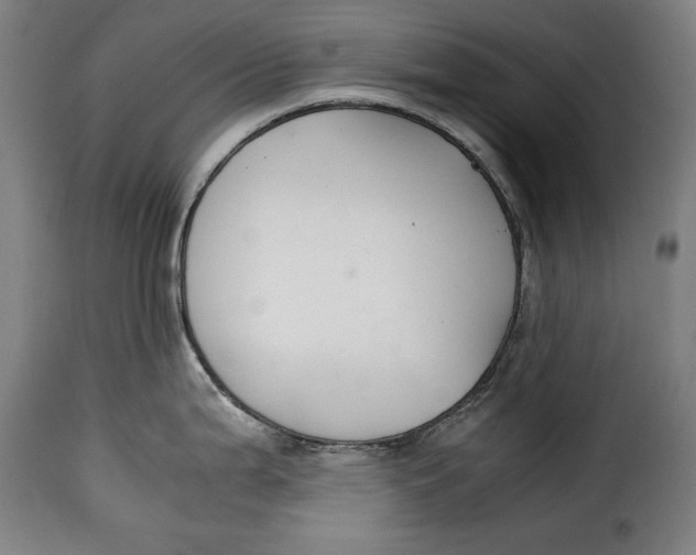X0000115351199200911241145
