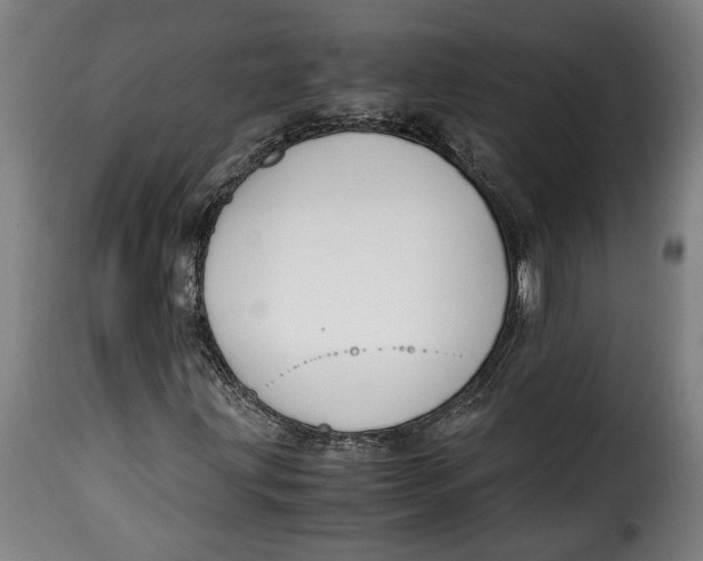 X0000115351203200911241145