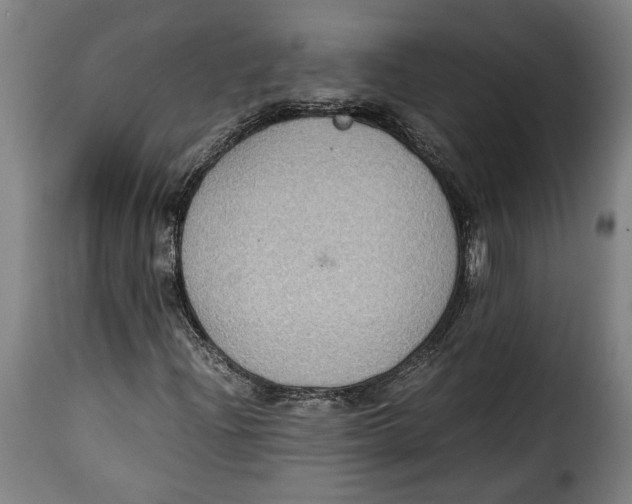 X0000115351204200911241145