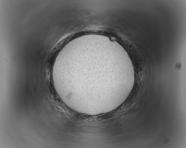 X0000115351206200911241145