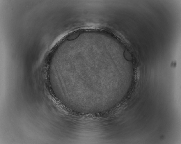 X0000115351208200911241145