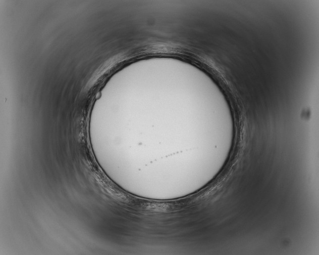 X0000115351211200911241145