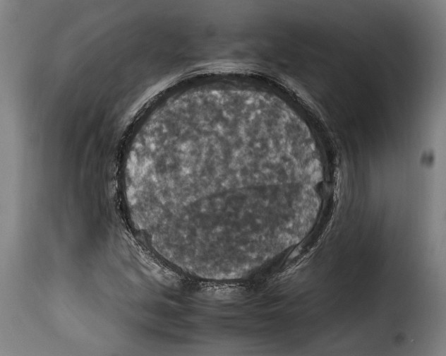 X0000115351213200911241145