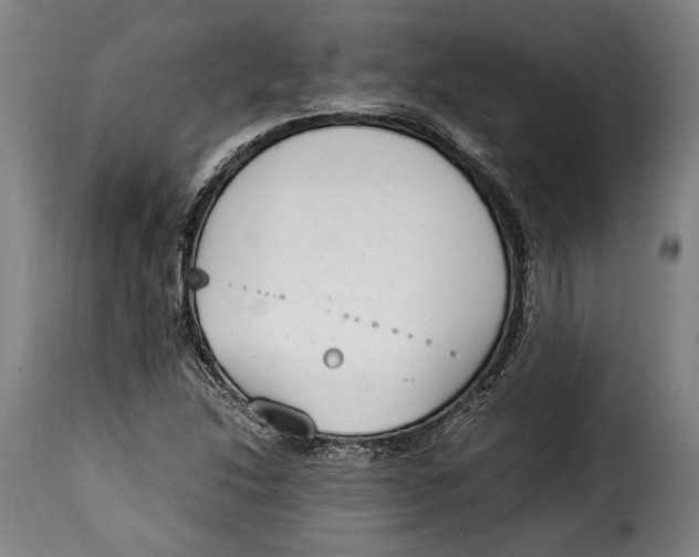 X0000115351214200911241145