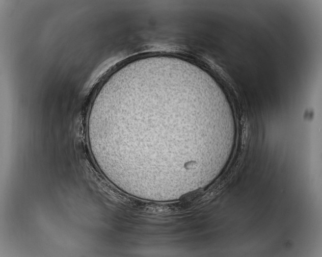 X0000115351215200911241145