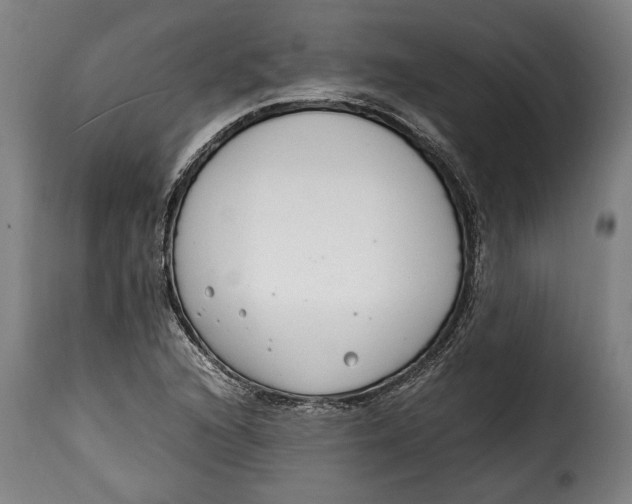 X0000115351216200911241145