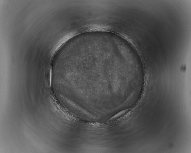 X0000115351219200911241145