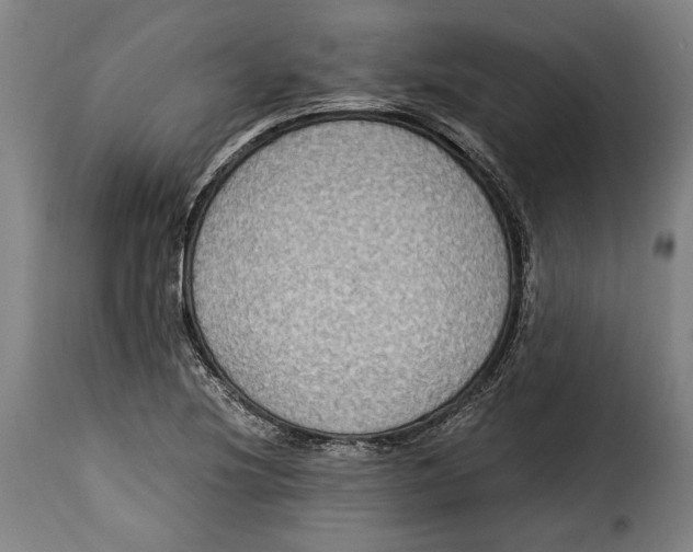 X0000115351220200911241145
