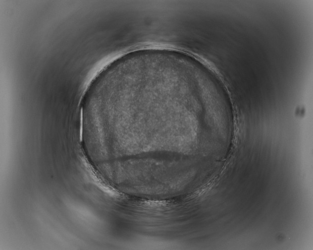 X0000115351223200911241145