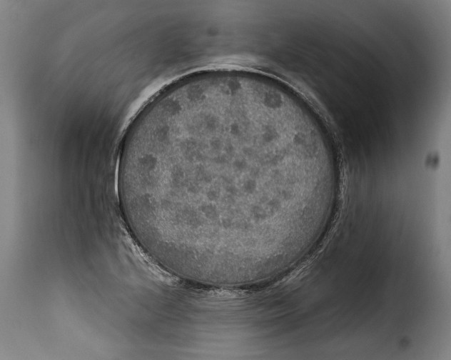 X0000115351224200911241145