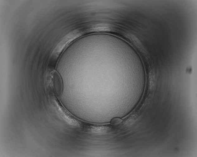 X0000115351225200911241145