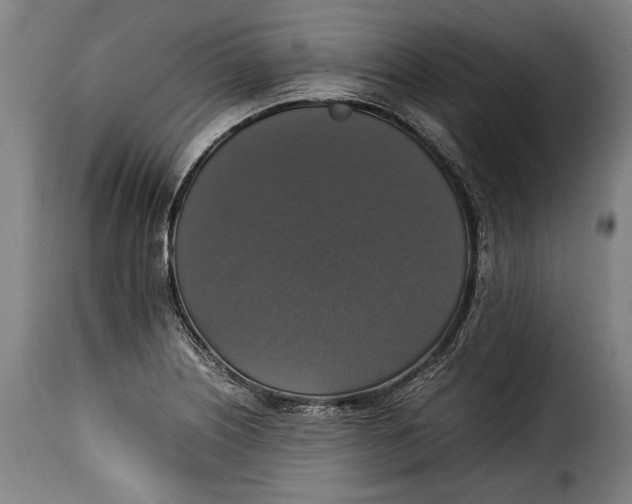 X0000115351226200911241145