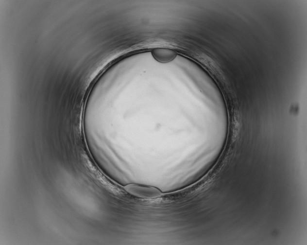 X0000115351228200911241145