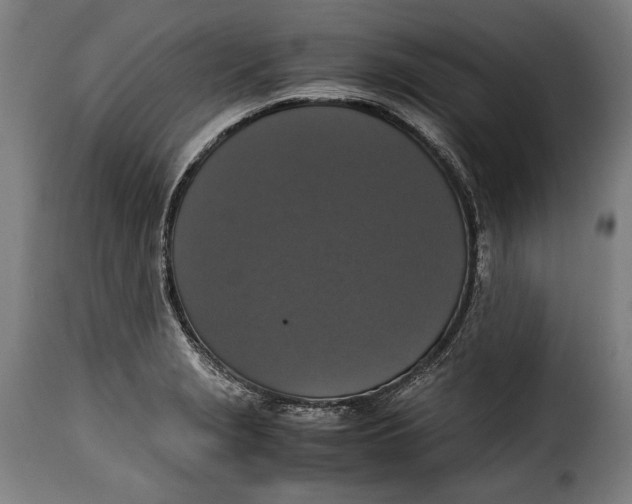 X0000115351229200911241145