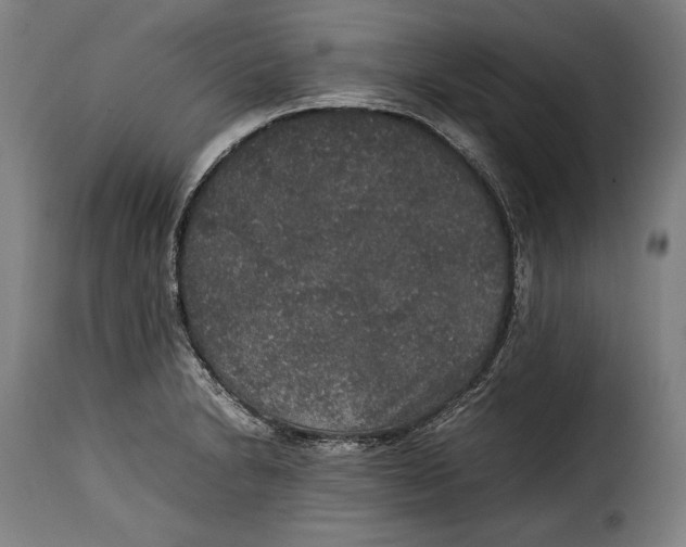 X0000115351230200911241145