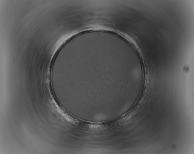 X0000115351231200911241145