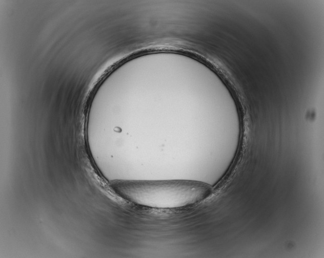 X0000115351232200911241145