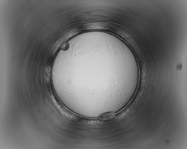 X0000115351233200911241145