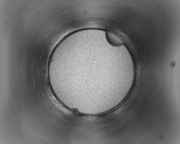X0000115351236200911241145