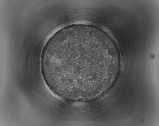 X0000115351237200911241145