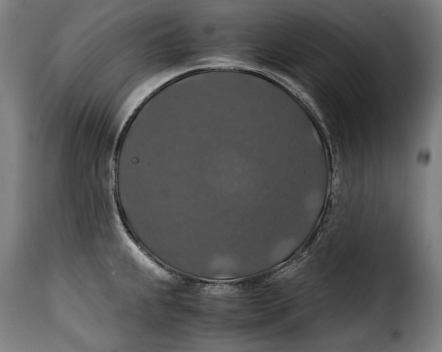 X0000115351239200911241145
