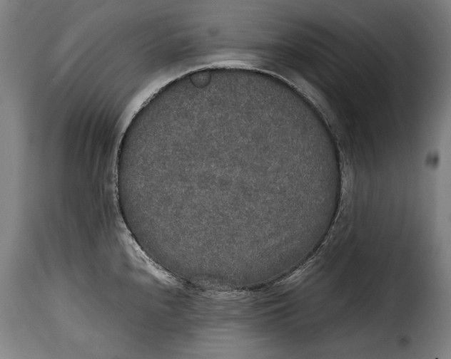 X0000115351240200911241145