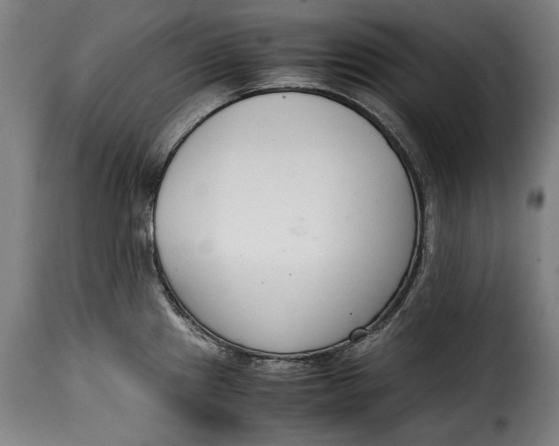 X0000115351241200911241145