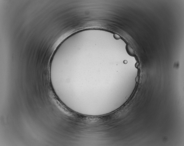 X0000115351242200911241145