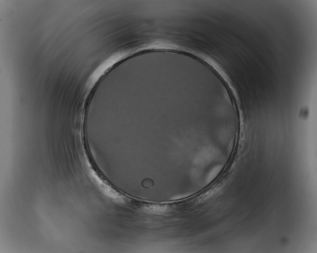 X0000115351245200911241145