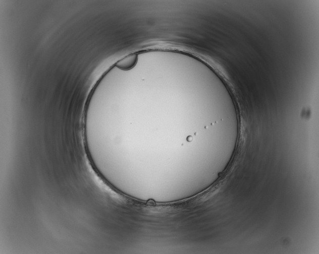 X0000115351247200911241145