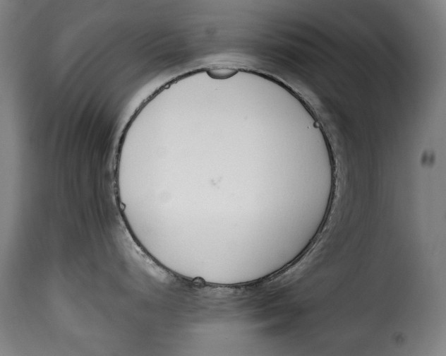 X0000115351248200911241145