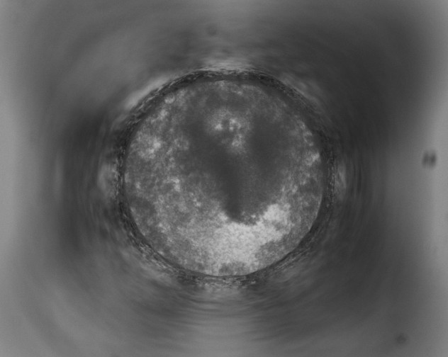 X0000115351254200911241144