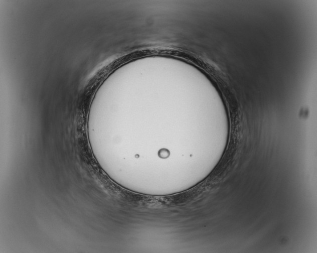 X0000115351255200911241144
